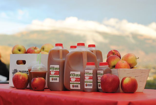 Apple Juice Products