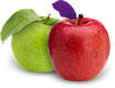 icon-apple.png