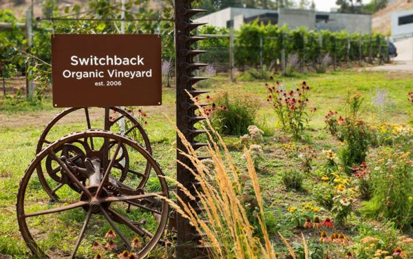 Switchback Vineyard