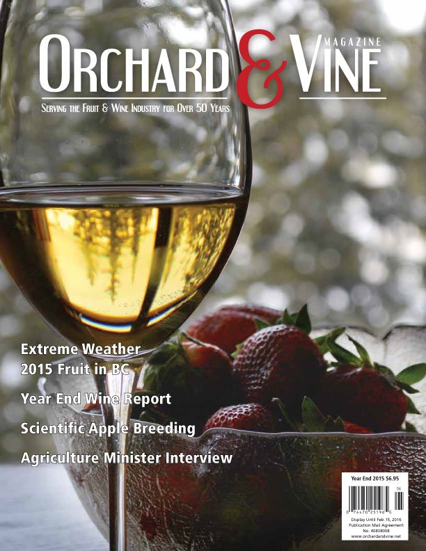 Orchard &amp; Vine Year End 2015