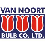 Van Noort