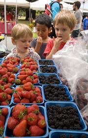 Children love farmer's markets
