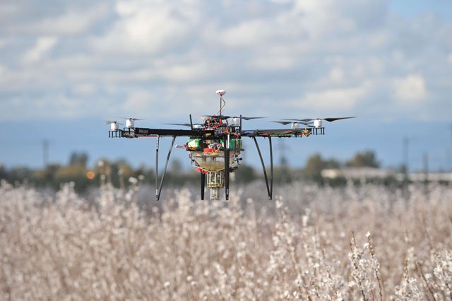 Pollinating Drones Create a Buzz in the Orchard - orchardandvine.net