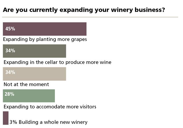 Wine Survey Q 3