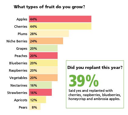 Fruit Survey Q1,2