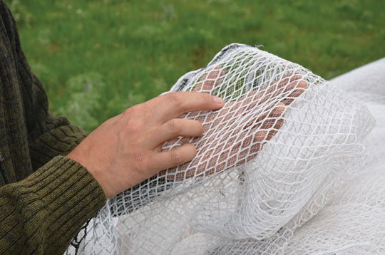 Close up of the netting
