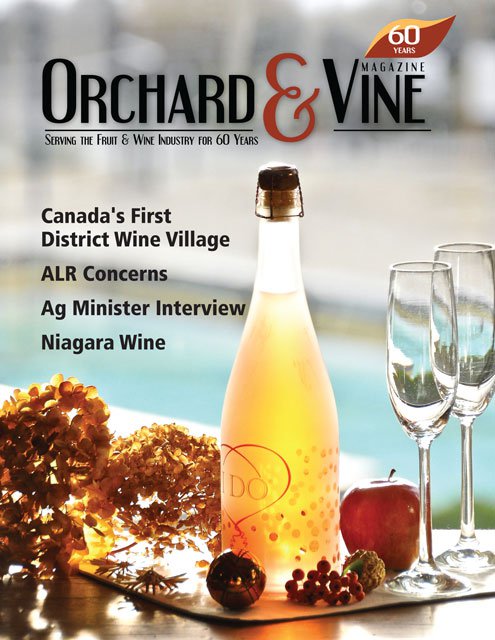 Orchard &amp; Vine Cover Year End 2019