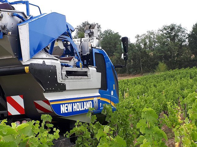 New Holland Combi Grape Sorting System
