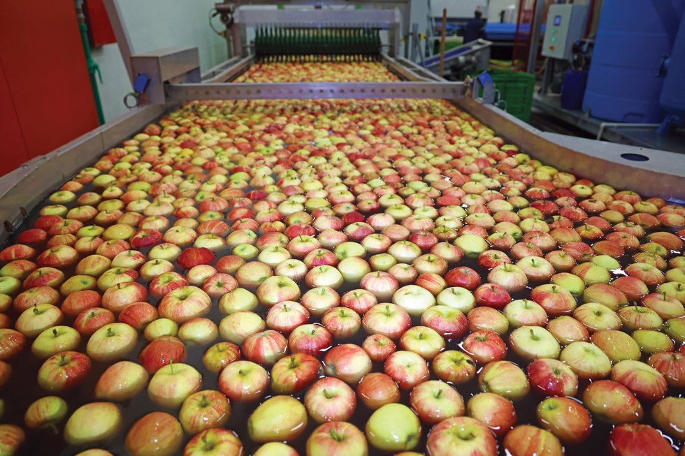 Apple Packinghouse