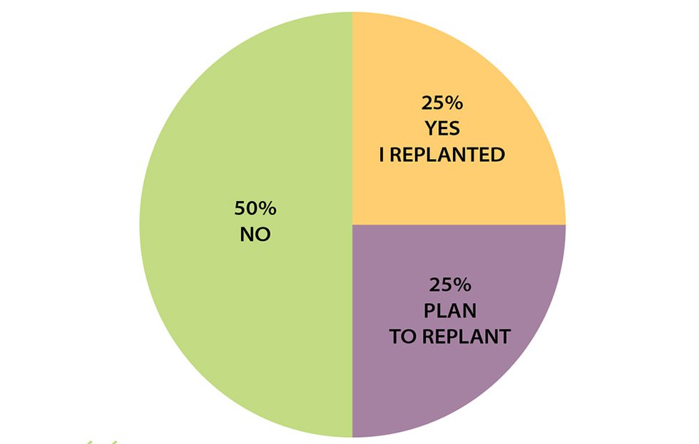Did you replant, or are you planning to re-plant next year?