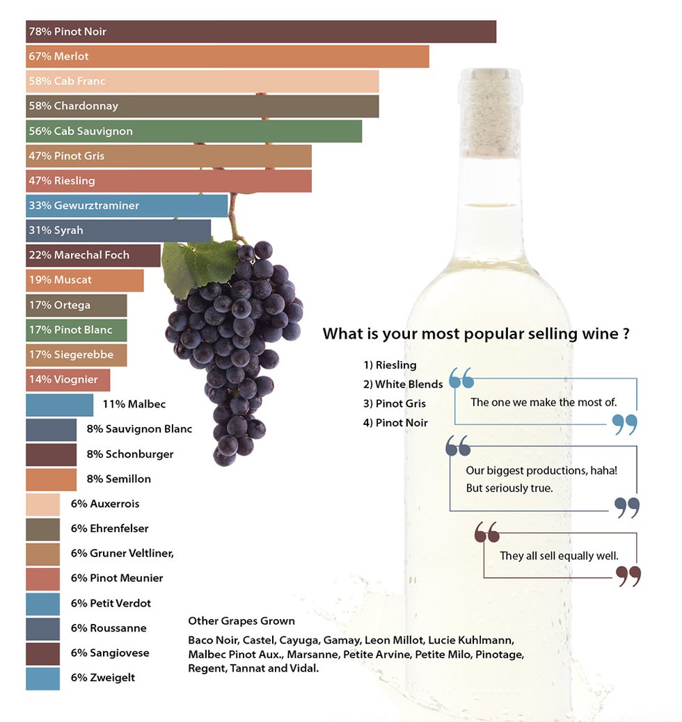 Which grape varietals do you grow?