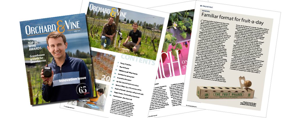 innovation-orchard-vine-wine-news