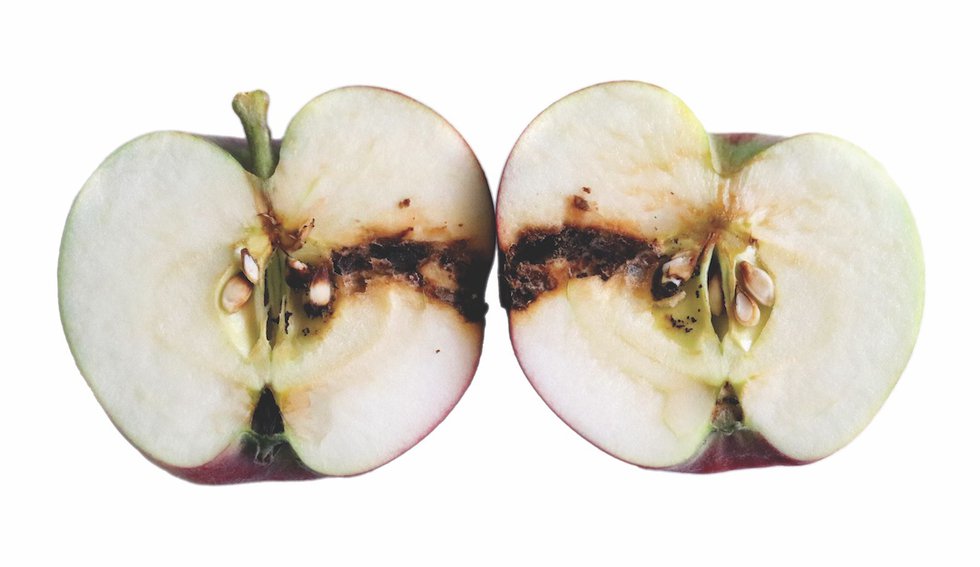 codling-moth-apples.jpg