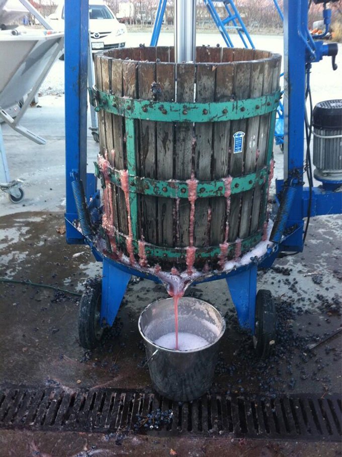 Crushing the Icy Grapes At Stoneboat